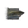Juvenile Shark.png