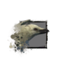 White Raven