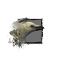 Juvenile White Raven.png
