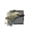 Juvenile White Raven.png