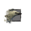 Juvenile White Raven.png