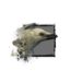 Juvenile White Raven.png