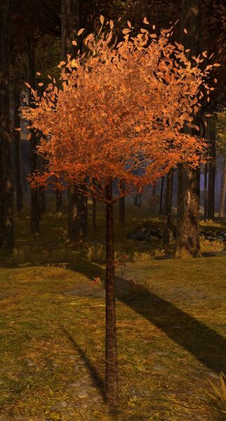 File:Kertch Sapling.jpg