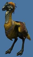Mini Yellow Moa.jpg