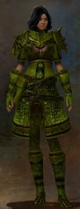 Appearance on medium armor.