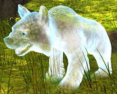 Spectral Bear Cub.jpg