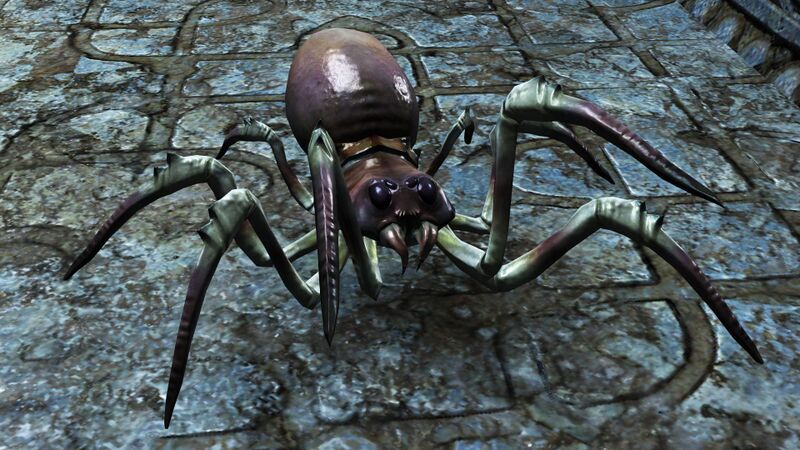 File:Spider (Deepstone Fractal alt).jpg