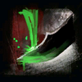 Thumbnail for version as of 02:12, 2 May 2012