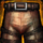Stalwart Leggings.png