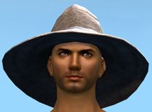 Wizard's Hat.jpg