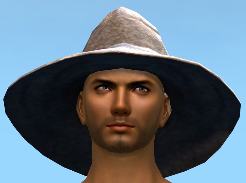 File:Wizard's Hat.jpg