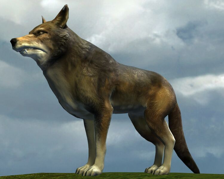 File:Wolf (brown).jpg