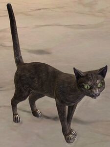 Cat (dark gray).jpg