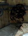 Thumbnail for version as of 16:37, 4 February 2018