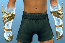Exalted Gloves (consumable).jpg