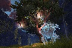 Peach Tree.jpg