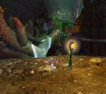 Playing with the Infants19-location.jpg