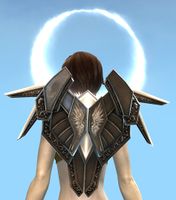 Radiant Backguard.jpg