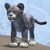 Snow Leopard Cub.jpg