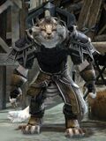 Vigil Recruit charr female.jpg