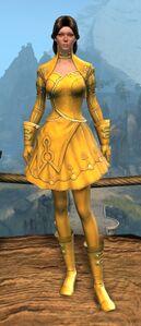 Appearance on light armor.