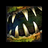Bite (armorfish).png