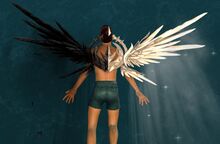 Equinox Wings Glider.jpg