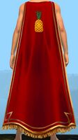 Guild Captain's Cape.jpg
