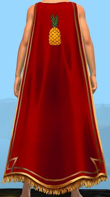 Guild Captain's Cape.jpg