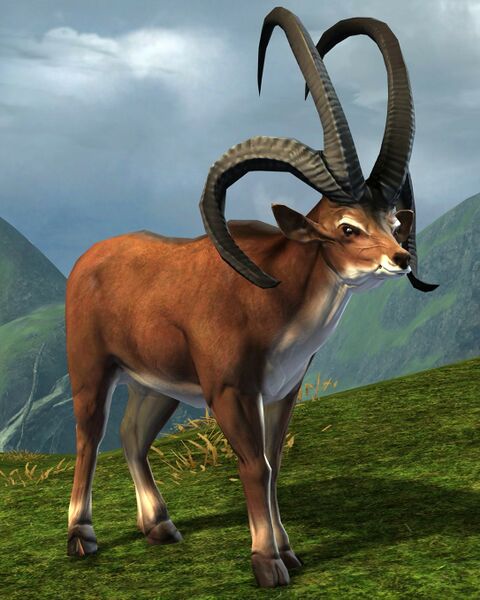File:Longhorn Sheep (Kryta).jpg