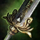 Mist Lord's Greatsword.png
