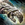 Perfected Envoy Gauntlets.png
