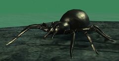 Plastic Spider.jpg