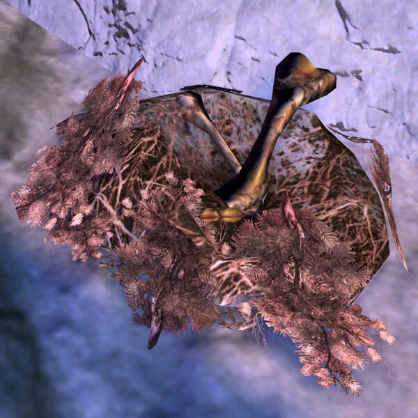 File:Plush Griffon Nest.jpg