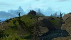 Scale Strand.jpg