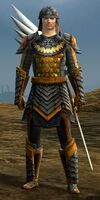 Seraph Soldier male 1.jpg