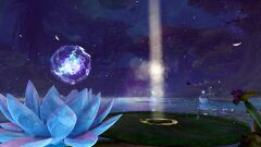 Serene Lily Pad.jpg