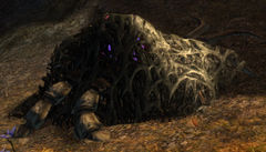 Sharptail's Nest.jpg