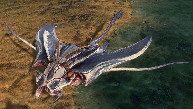 File:Skimmer.jpg