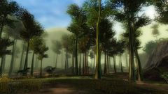 Wraithwalker Woods.jpg