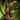 Yggdrasil.png