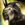 Scribing: Invincible Dolyak