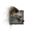 Juvenile Arctodus.png