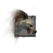 Juvenile Arctodus.png