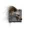 Juvenile Arctodus.png