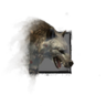 Juvenile Arctodus.png