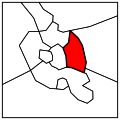Thumbnail for version as of 01:42, 1 April 2018