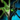 Mini Arsenite Assault Knight.png