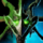 Mini Arsenite Assault Knight.png