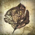 Perfectly Preserved Leaf.png